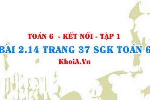 Bài 2.14 trang 37 SGK Toán 6 tập 1 Kết nối tri thức